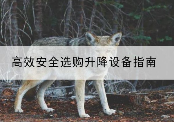 慈溪升降货梯厂家推荐-*安全选购升降设备指南