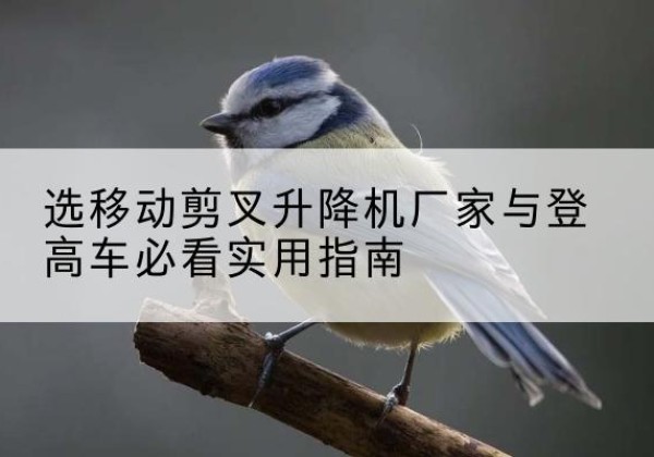 慈溪电动升降机厂家-选移动剪叉升降机厂家与登高车必看实用指南