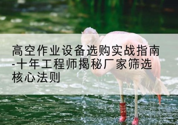 慈溪剪叉式升降机厂家-高空作业设备选购实战指南-十年工程师揭秘厂家筛选核心法则
